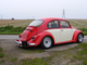 Beetle 005.jpg